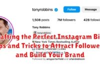 Crafting the Perfect Instagram Bio: Tips and Tricks to Attract Followers and Build Your Brand