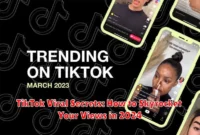 TikTok Viral Secrets: How to Skyrocket Your Views in 2024